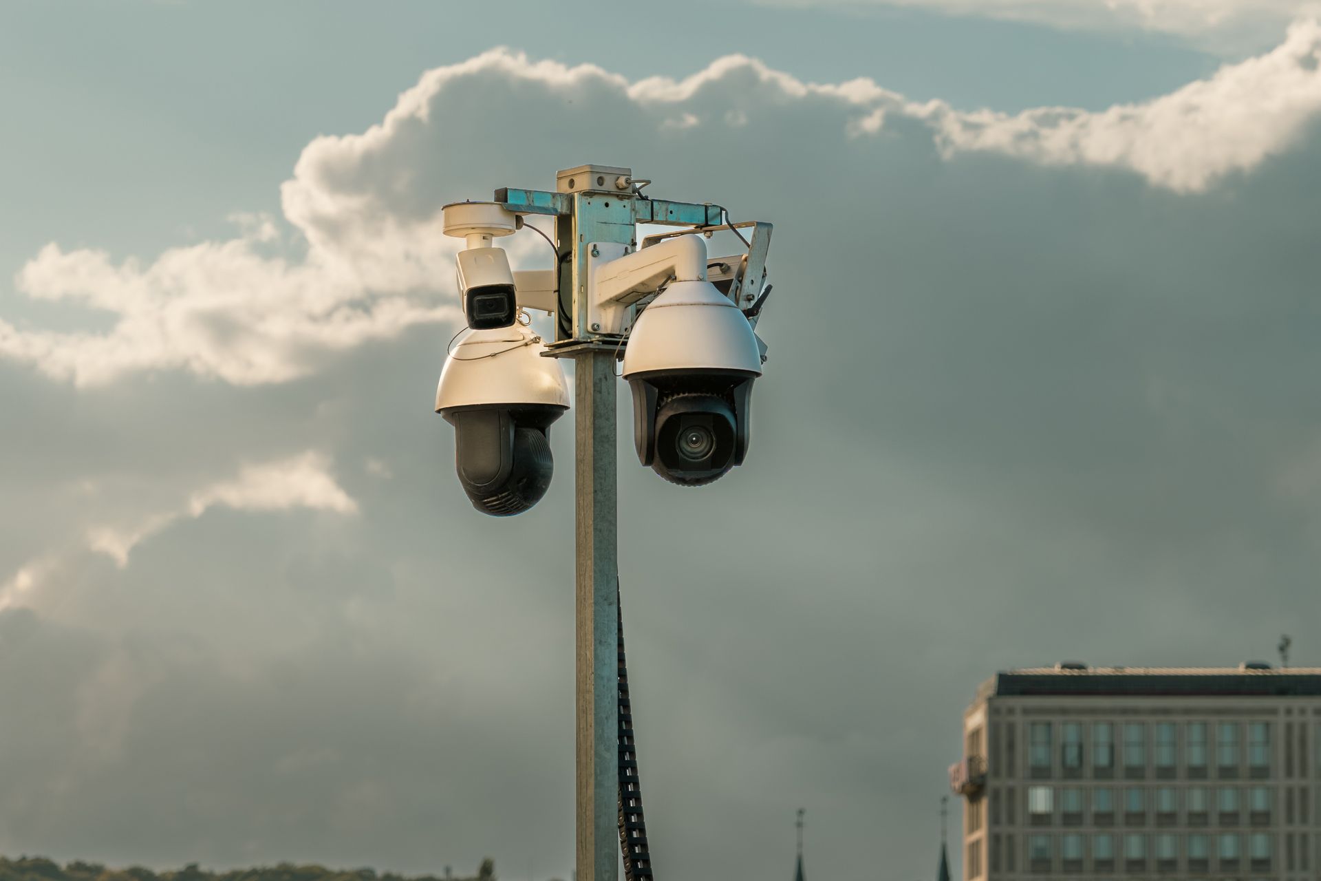 pexels-jakubzerdzicki-33988254